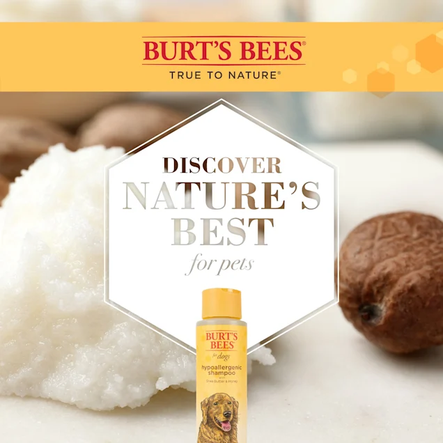 Burt's Bees 犬用低致敏性洗毛水 473ml